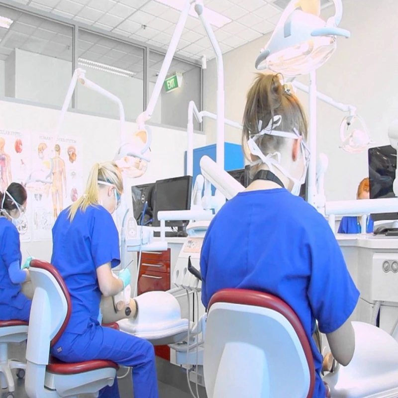 Image showcasing students in a dental clinic, actively participating in dental procedures under the guidance of experienced dentists.